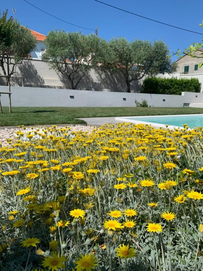 Tony'S House With Private Pool, Garden And Parking Villa Zadar Luaran gambar